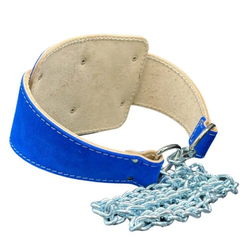 Premium suede dip belt with a secure chain for weighted dips and pull-ups.