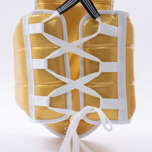 Adjustable Taekwondo chest guard for all ages.