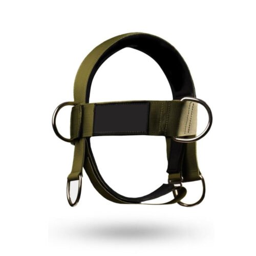 Weight lifting head harness for exercise with padded support and steel chain.